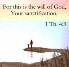 97c752cfb303d1c031c14f2e46efc90a--one-year-bible-the-bible